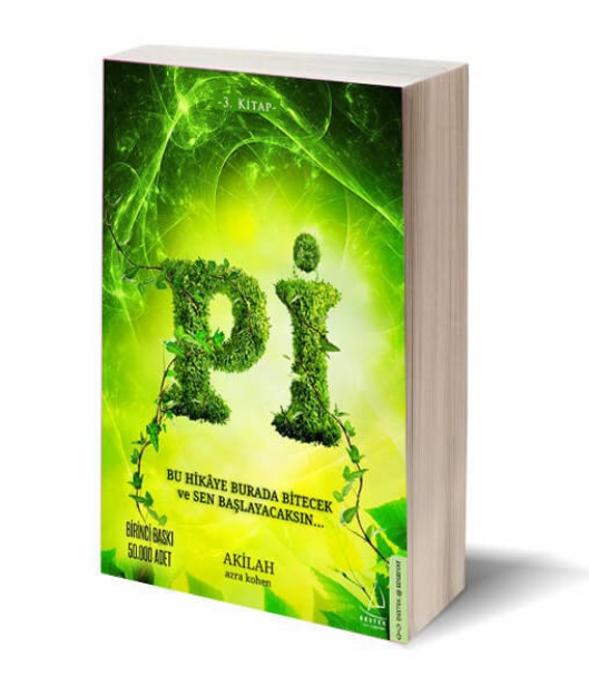 Picture of Pi