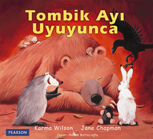 Picture of Tombik Ayı Uyuyunca
