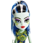 Picture of Monster High DSY Acayip Arkadaşlar Frankie Stein