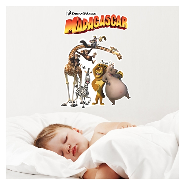 Picture of Madagaskar Duvar Sticker 68x48 cm DW-010