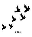 Picture of Kadife Duvar Sticker Kuşlar DP-762