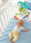Picture of Fisher Price Üçü Bir Arada Yağmur Ormanı Dönence 