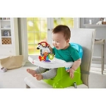 Picture of Fisher Price FGJ11 Sevimli Zebra Mama Koltuğu Oyuncağı