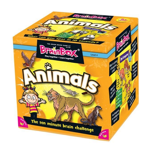 Picture of Brainbox Animals (Hayvanlar)-İngilizce