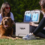 Picture of IGLOO CoreMAX 22 Taşınabilir Buzluk 22 Litre