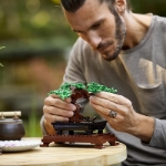 Picture of Lego Botanicals  10281 Bonzai Ağacı