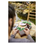 Picture of Lego Botanicals  10281 Bonzai Ağacı