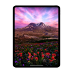 Picture of iPad Pro 11 inç Wi-Fi 256GB Standart Cam MVV93TU/A Gümüş