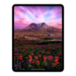 Picture of iPad Pro 11 inç Wi-Fi 256GB Standart Cam MVV83TU/A Uzay Siyahı