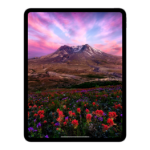 Picture of iPad Pro 13 inç Wi-Fi 256GB Standart Cam MDYK4TU/A Gümüş