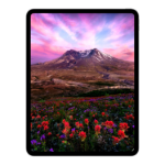 Picture of iPad Pro M5 11 inç WiFi 256GB Standart Cam MDWL4TU/A Gümüş