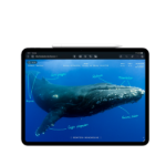 Picture of iPad Pro M5 13 inç Wi-Fi 512GB Standart Cam MDYM4TU/A Gümüş