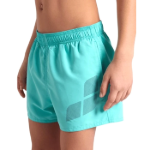 Picture of Arena Beach Logo R Erkek Çocuk Su Yeşili Deniz Şortu Hızlı Kuruyan 006446870