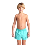 Picture of Arena Beach Logo R Erkek Çocuk Su Yeşili Deniz Şortu Hızlı Kuruyan 006446870