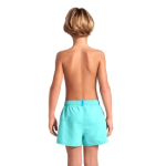 Picture of Arena Beach Logo R Erkek Çocuk Su Yeşili Deniz Şortu Hızlı Kuruyan 006446870
