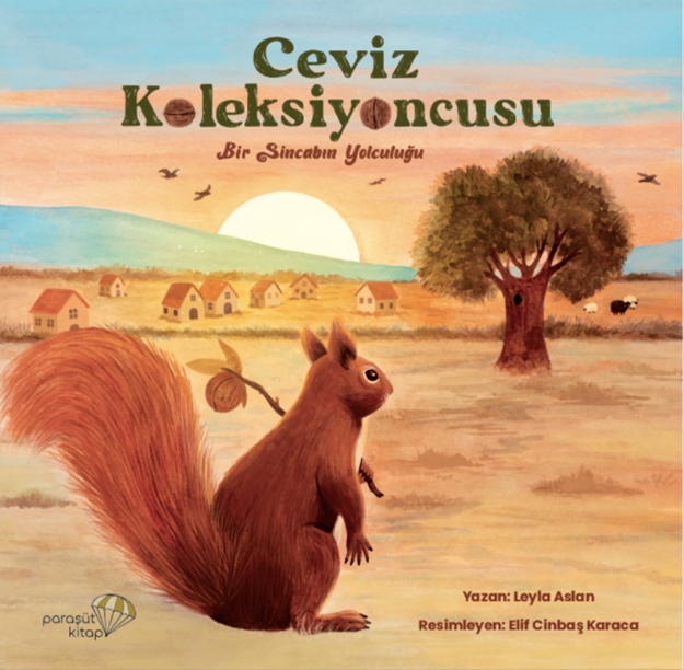 Picture of Ceviz Koleksiyoncusu
